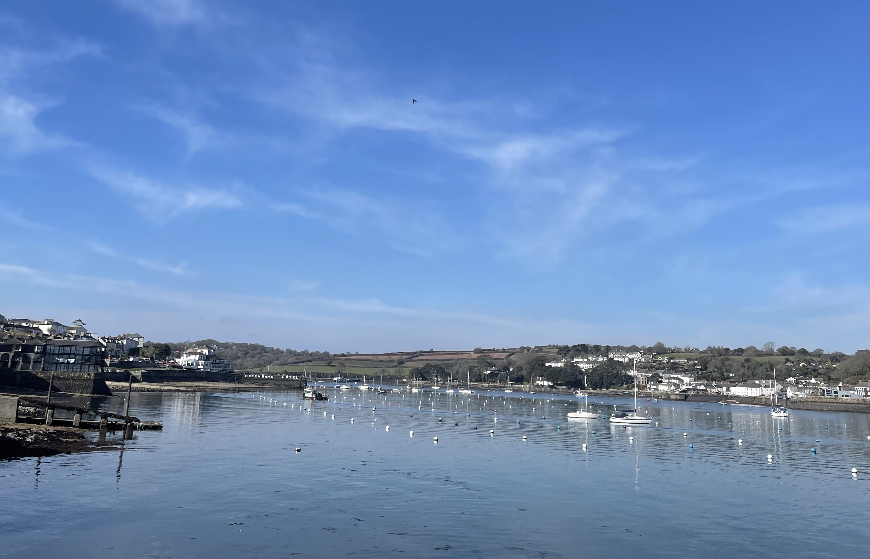 How AI is helping to protect the UK’s Marine Ecosytems